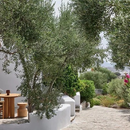 Iliana Olive Branch Apartment Adamantas  Exterior foto